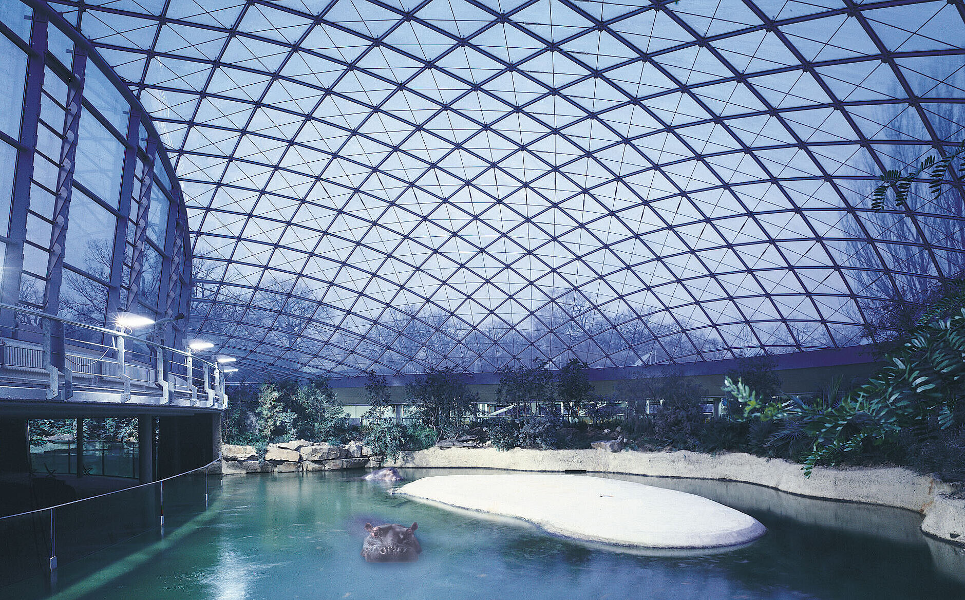 Flusspferdhaus - Zoologischer Garten