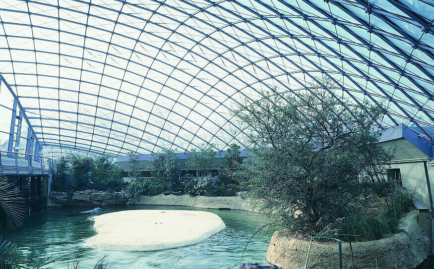 Flusspferdhaus - Zoologischer Garten